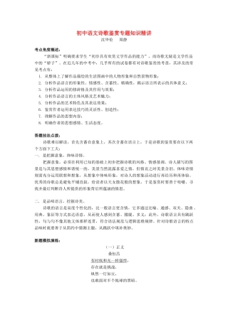 初中语文诗歌鉴赏专题知识精讲 试题