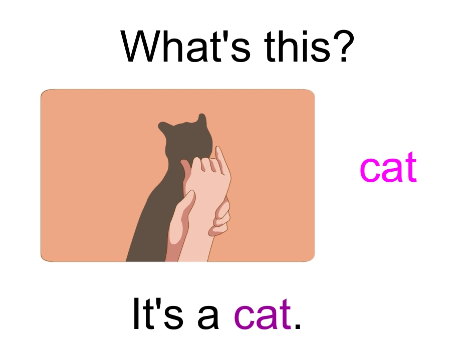 Weloveanimals第二课时_第3页
