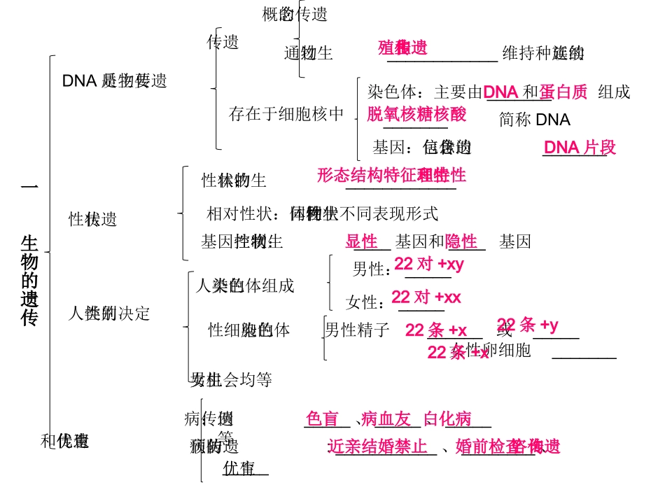 第1节生物的遗传_第3页