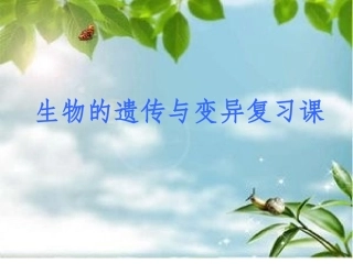 第1节生物的遗传