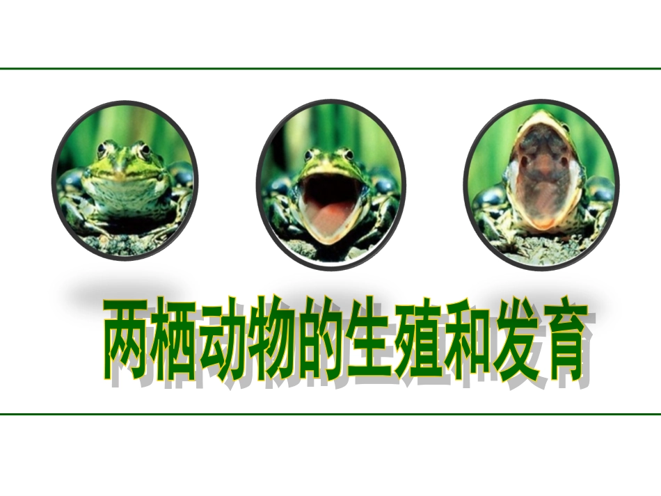 第三节两栖动物的生殖和发育_第1页
