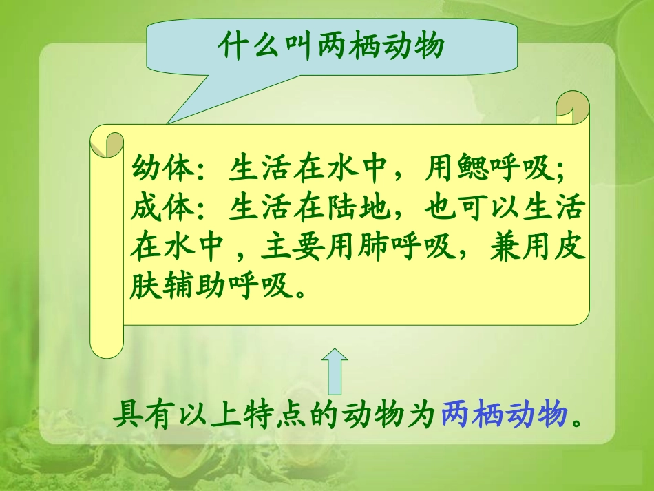 第三节两栖动物的生殖和发育_第2页