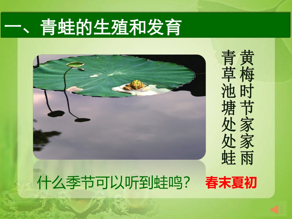 第三节两栖动物的生殖和发育_第3页