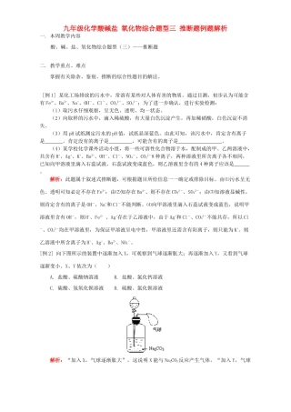 九年级化学酸碱盐 氧化物综合题型三 推断题例题解析 天津版试卷