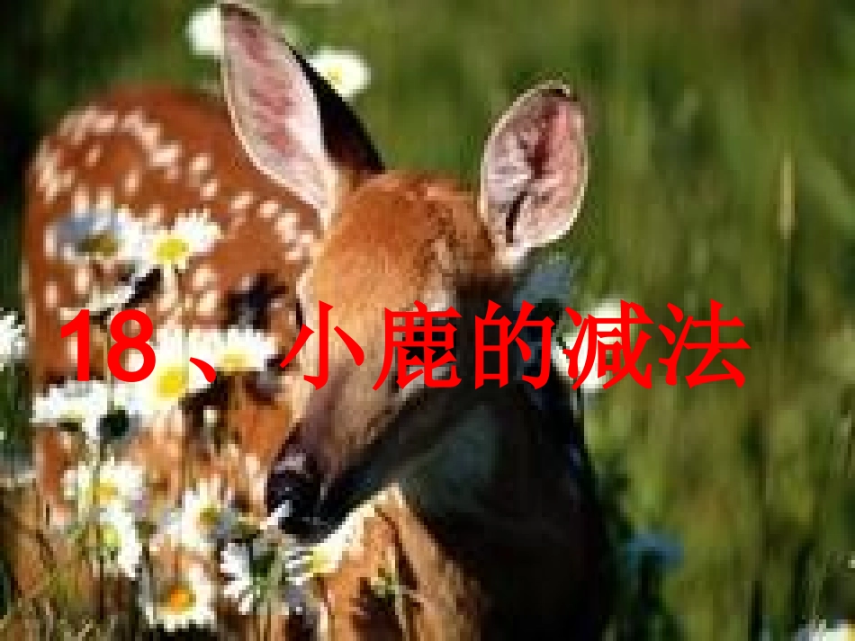 小鹿的减法讲课_第1页