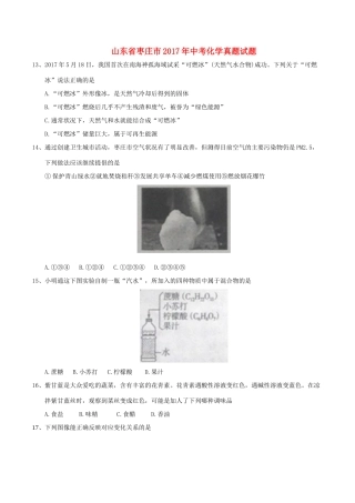 山东省枣庄市中考化学真题试卷(含答案)试卷