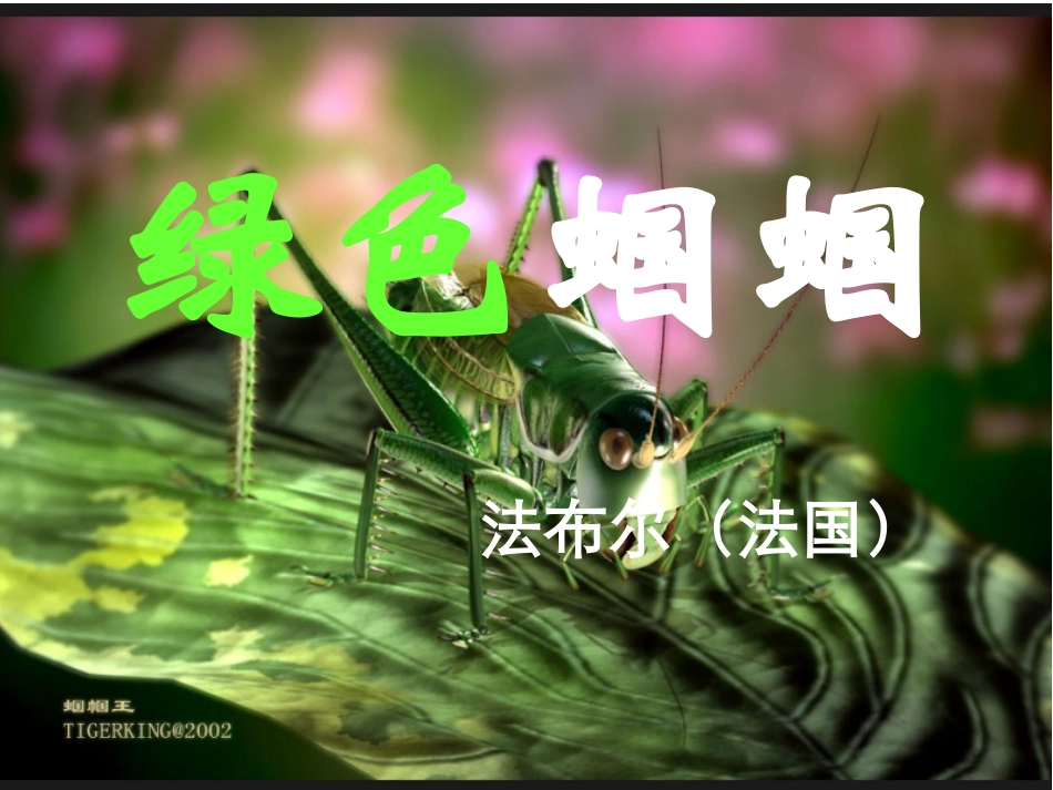 《绿色的蝈蝈》_第2页