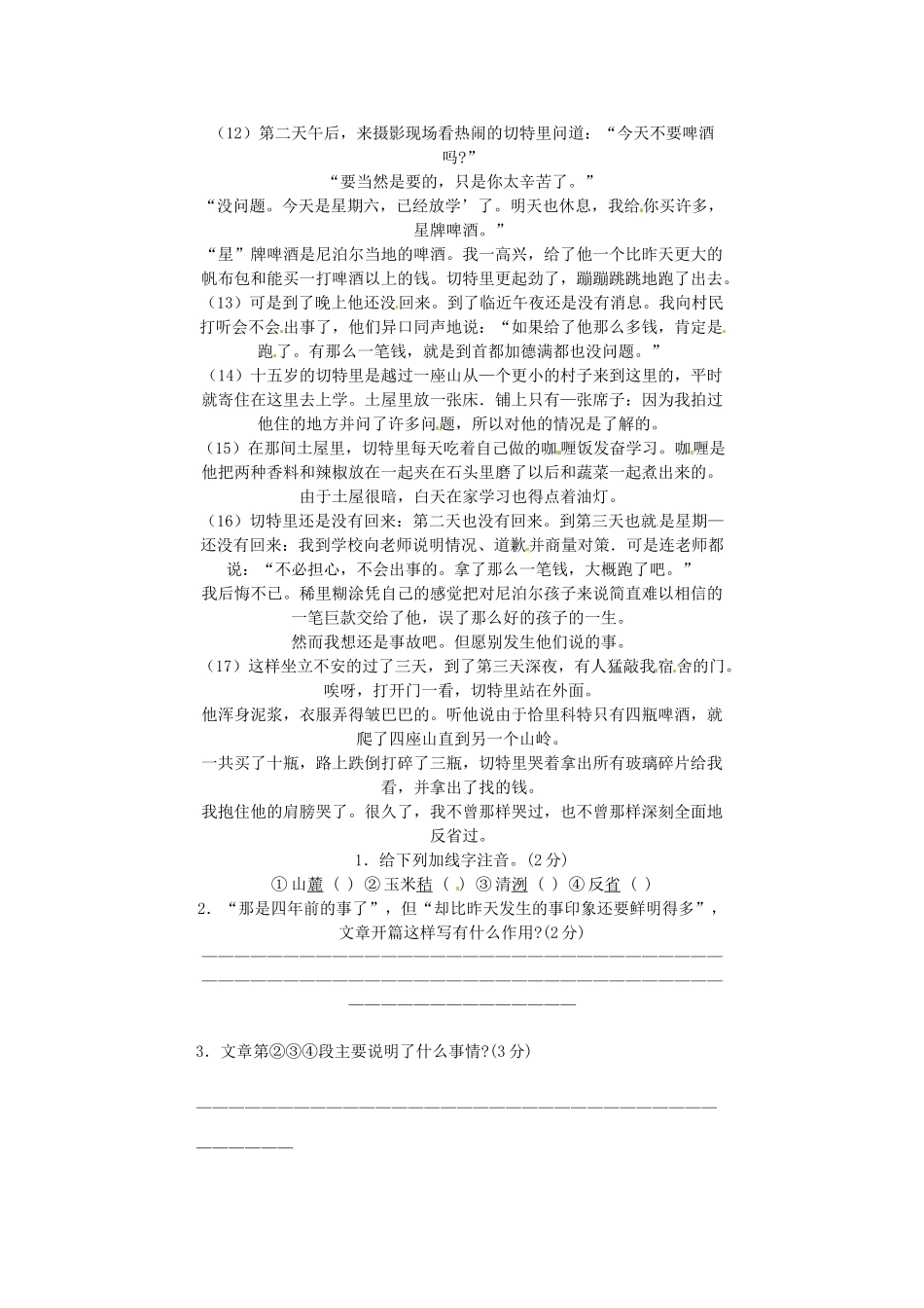 中考语文阅读题复习 尼泊尔的啤酒试卷_第2页