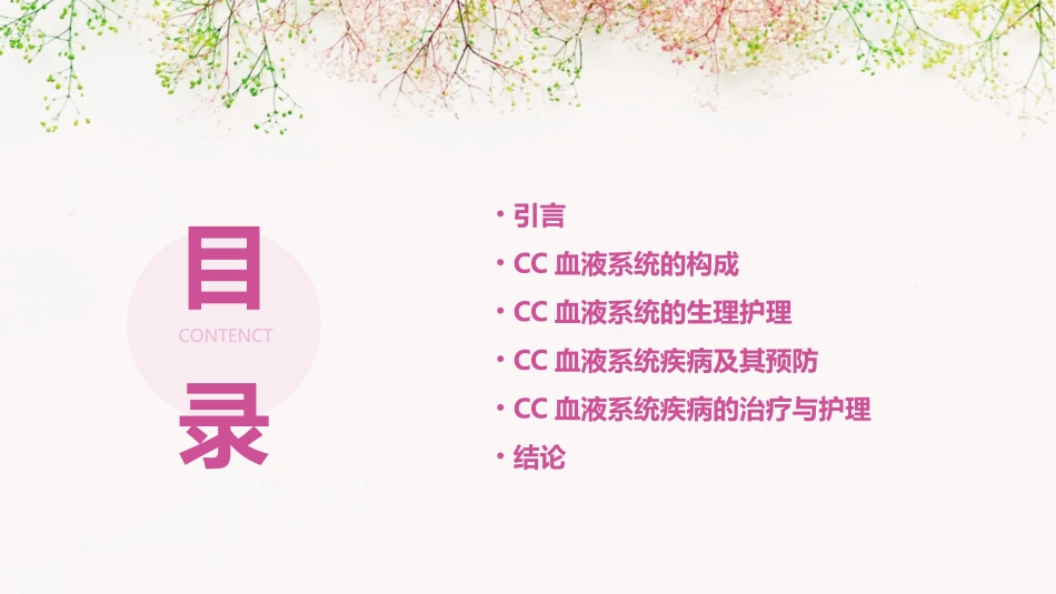 cc血液系统构成与其生理护理课件_第2页