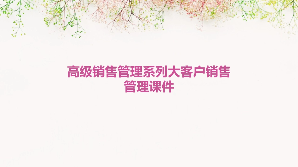 高级销售管理系列大客户销售管理课件_第1页