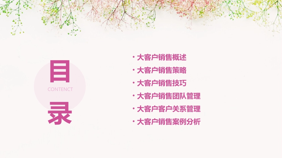 高级销售管理系列大客户销售管理课件_第2页