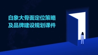白象大骨面定位策略及品牌建设规划课件