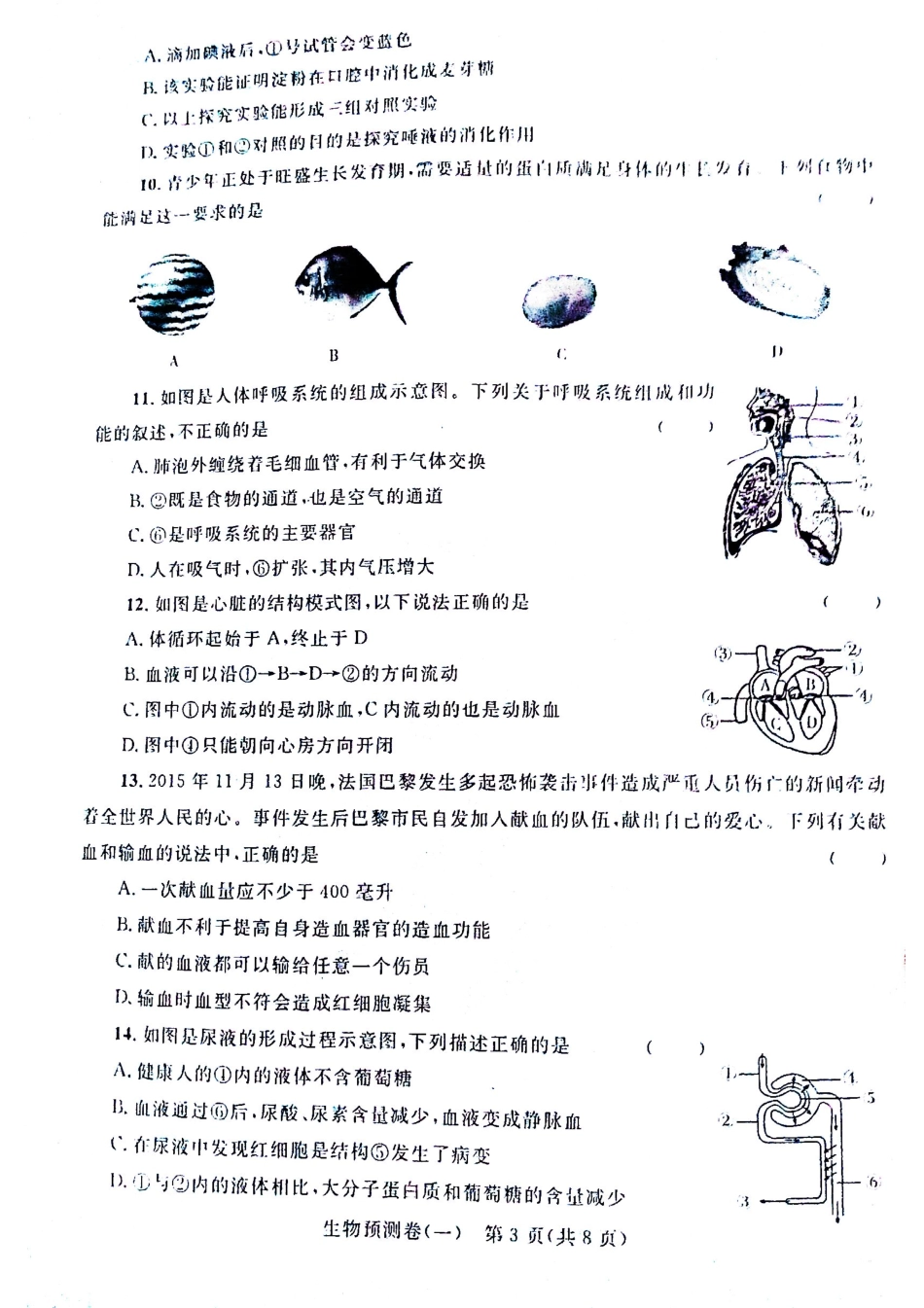 学生生物学业水平预测卷(一)(pdf)试卷_第3页