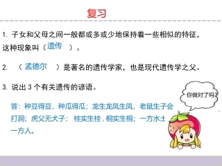 2生物的变异现象