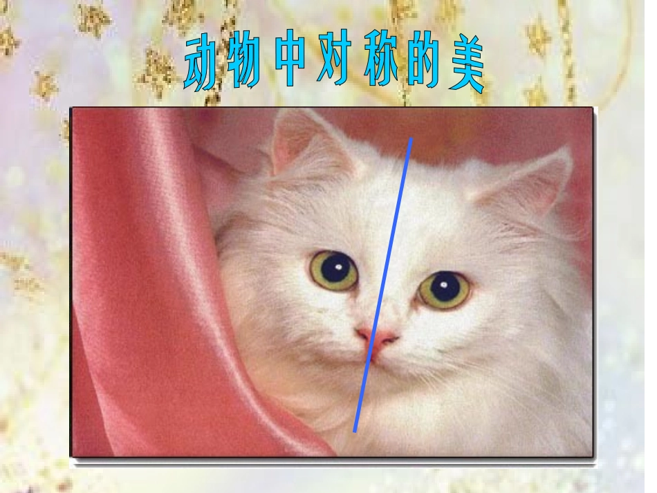 人美版小学四年级美术下册《巧用对称形》课件_第2页