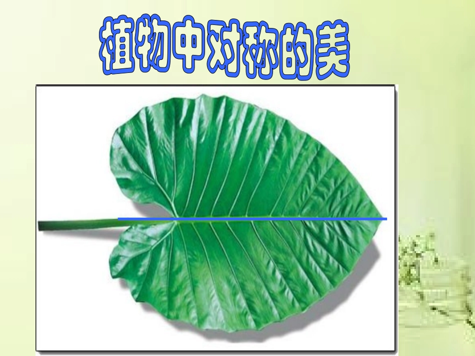 人美版小学四年级美术下册《巧用对称形》课件_第3页