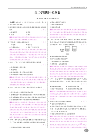 九年级化学下册 期中测试卷(pdf)(新版)新人教版试卷
