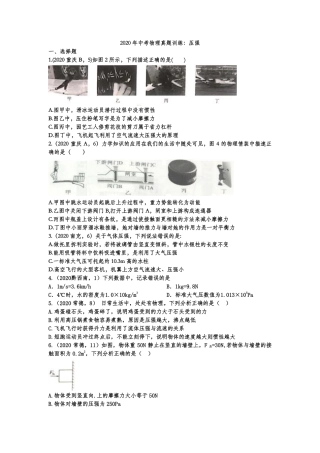 中考物理真题训练 压强(pdf，含解析)试卷
