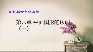 6.1线段、射线、直线