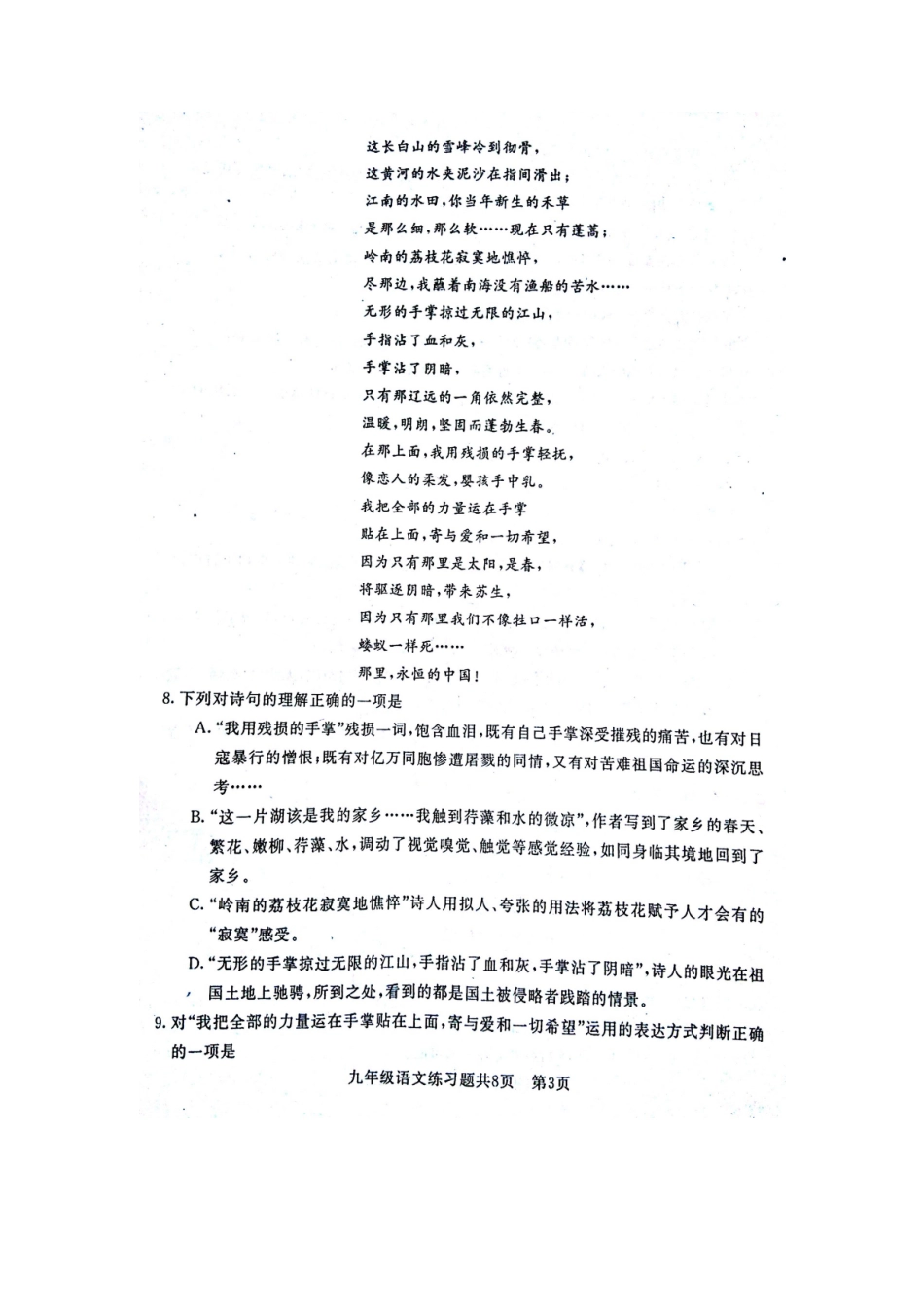 山东省泰安市岱岳区九年级语文上学期期末试卷新人教版五四制试卷_第3页