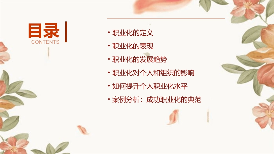 什么是职业化课件_第2页