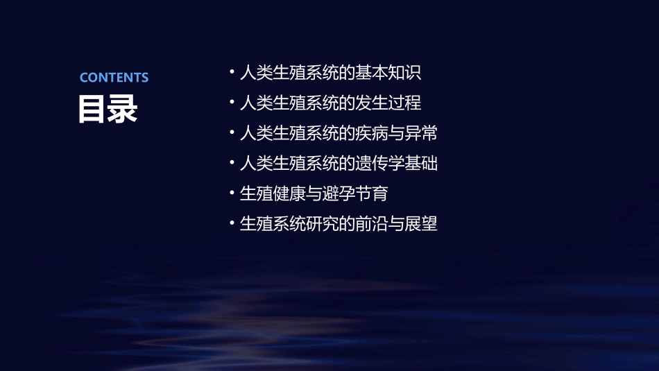人类生殖系统的发生课件_第2页