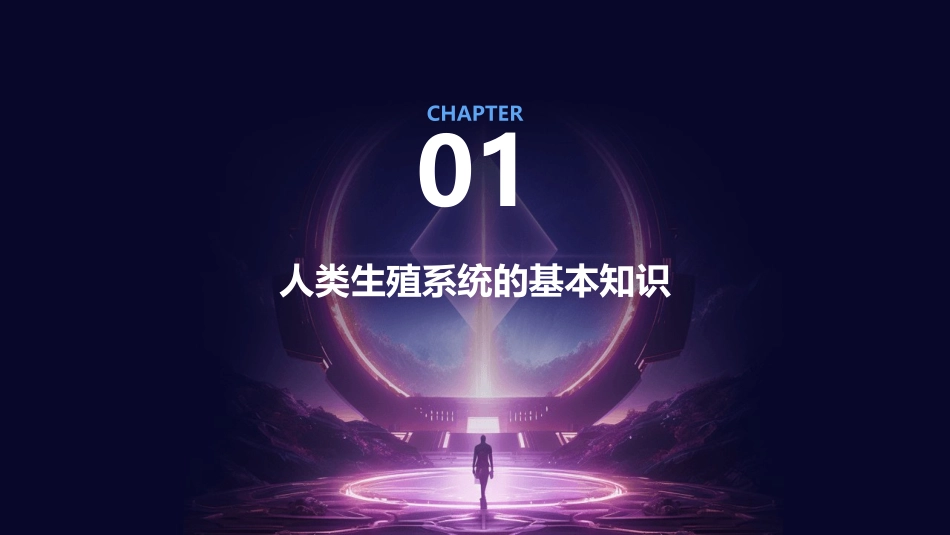 人类生殖系统的发生课件_第3页