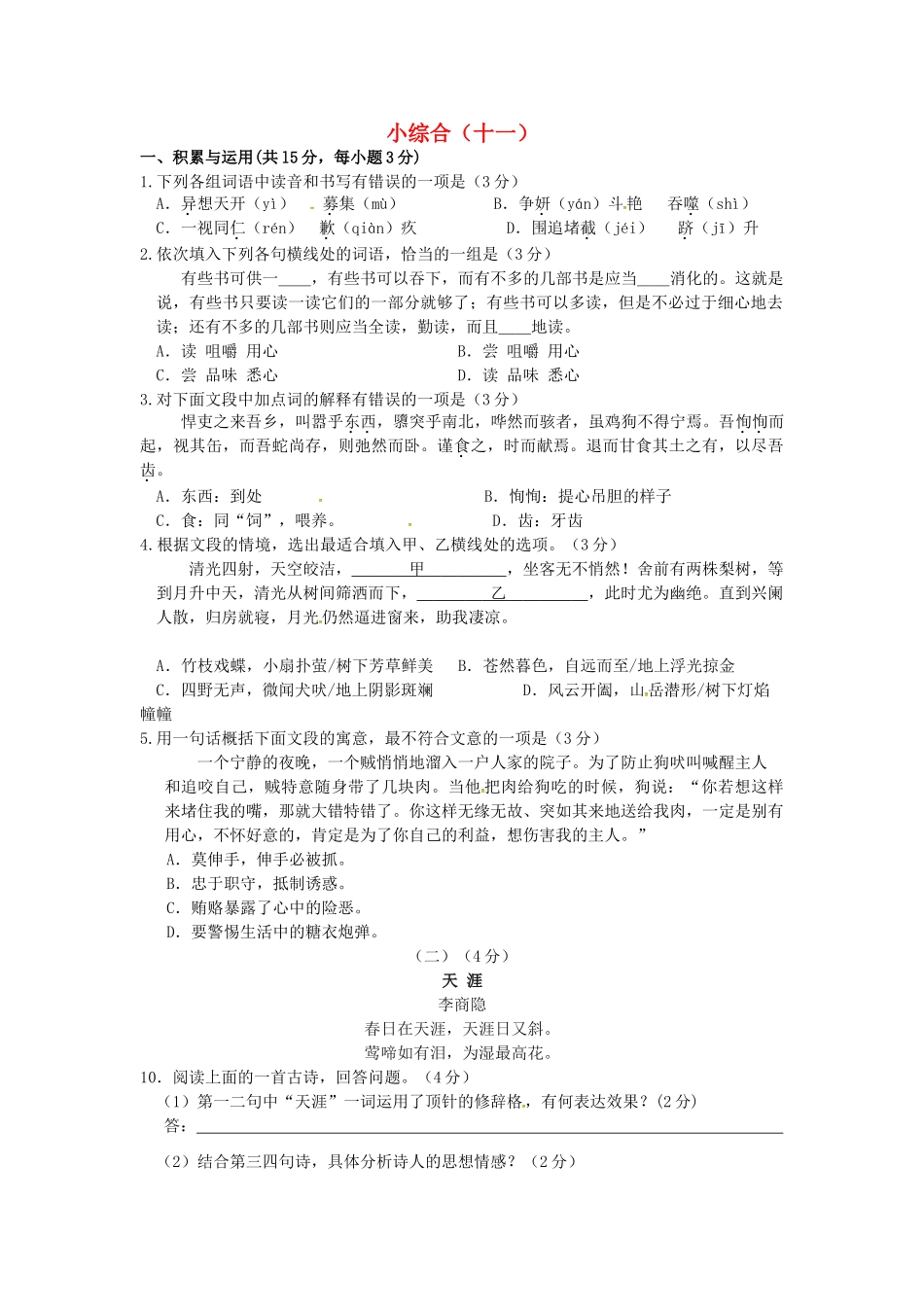 中考语文第二轮复习 小综合(十一)试卷_第1页