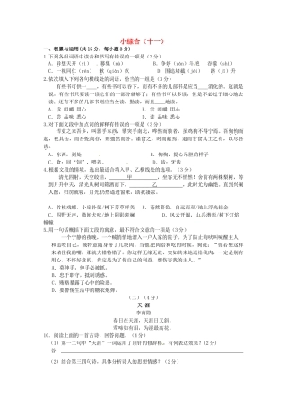 中考语文第二轮复习 小综合(十一)试卷