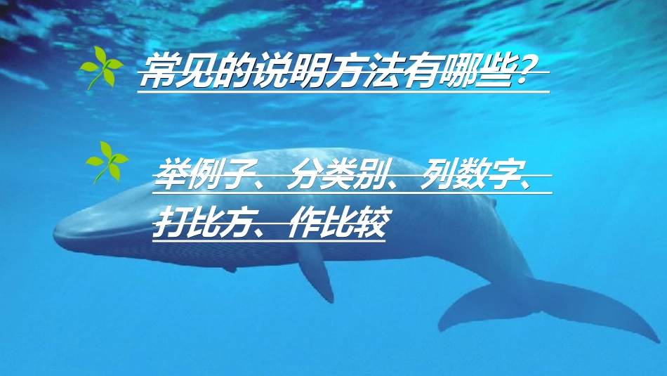 常见的说明方法_第2页
