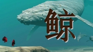 常见的说明方法