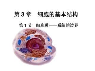 第一节细胞膜