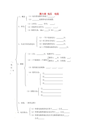 中考物理总复习 知识网络 第六章 电压 电阻试卷