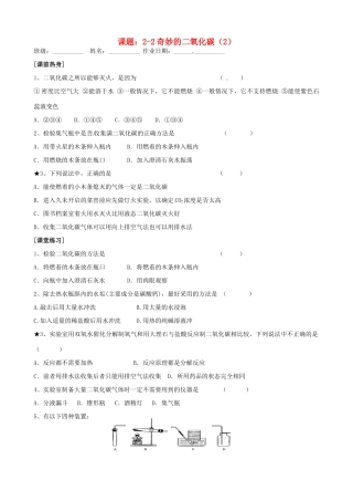 九年级化学全册(22奇妙的二氧化碳(2))自主学习 沪教版试卷