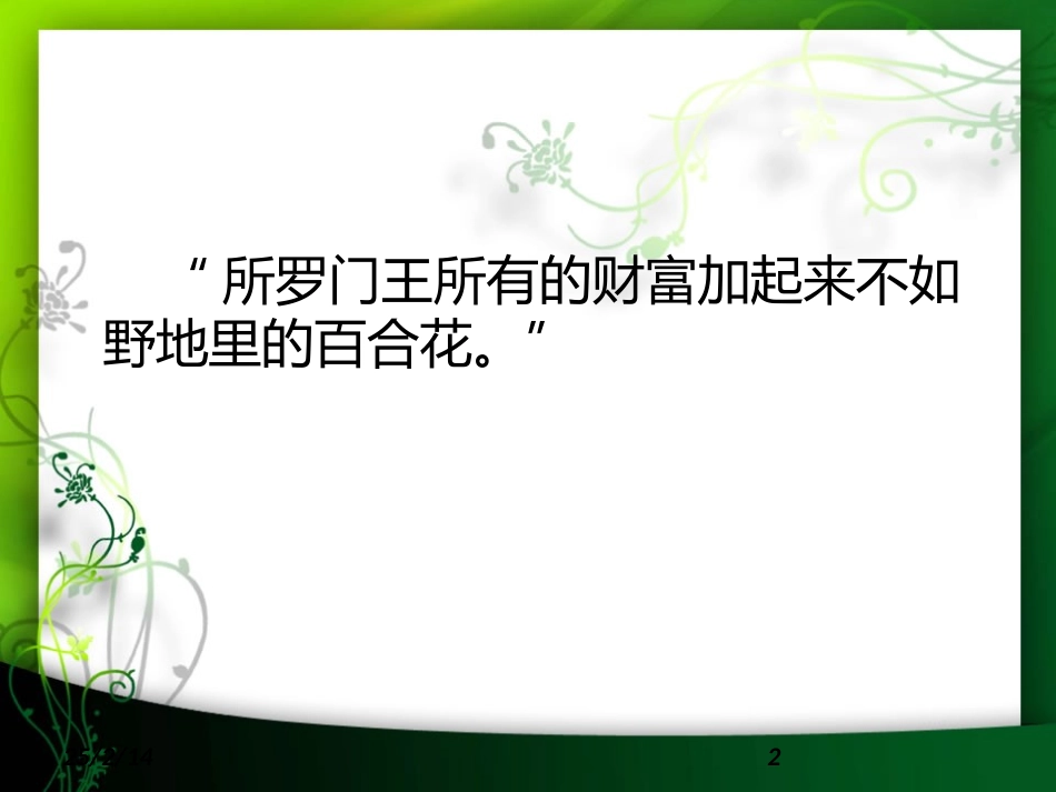 心田上的百合花开_第2页