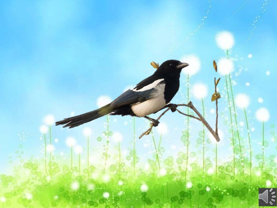 (部编)人教语文2011课标版一年级下册树和喜鹊-(6)_第2页