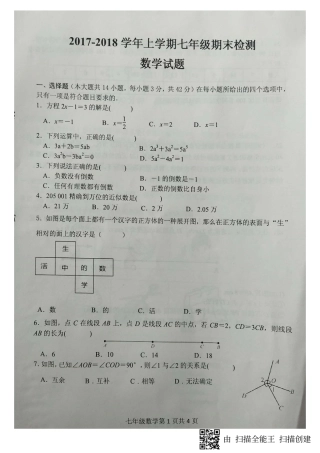 山东省临沂市费县七年级数学上学期期末考试试卷(pdf)青岛版试卷