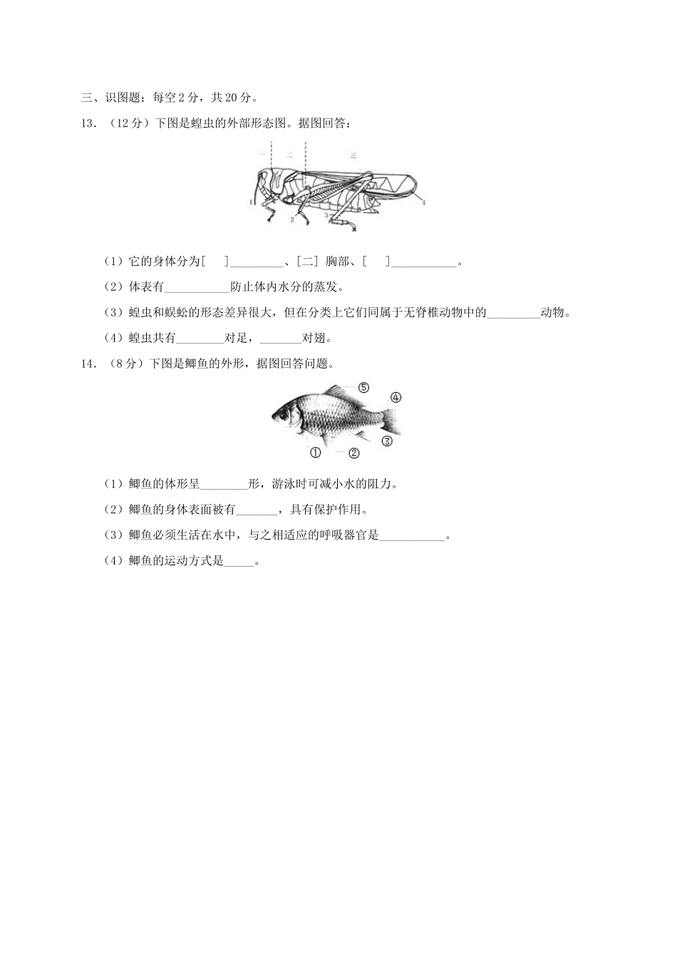 吉林省长春净月高新技术产业开发区培元学校八年级生物上学期期中试卷 新人教版试卷_第3页