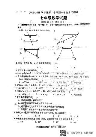 山东省临清市七年级数学下学期期中试卷(pdf) 新人教版试卷