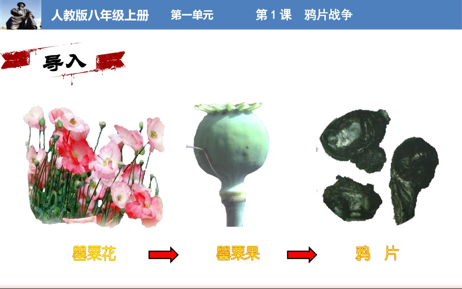 第1课鸦片战争-(6)_第1页