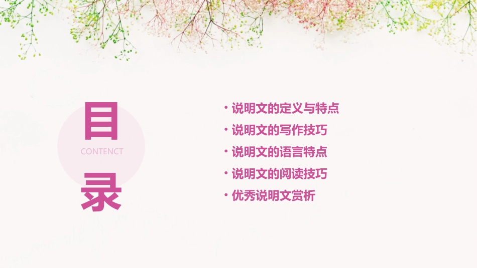 说明文基础知识》优秀通用课件_第2页