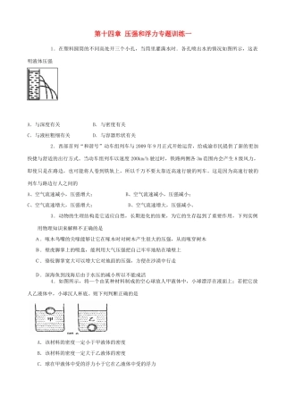 九年级物理 第十四章压强和浮力专题训练一 人教新课标版试卷