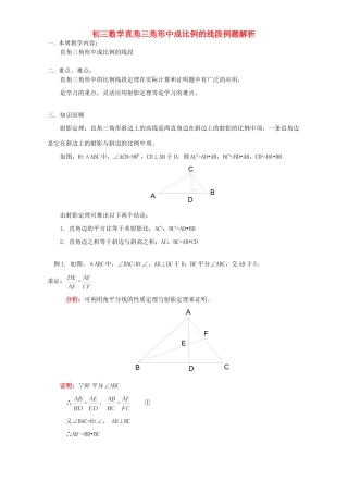 初三数学直角三角形中成比例的线段例题解析 浙江版 试题
