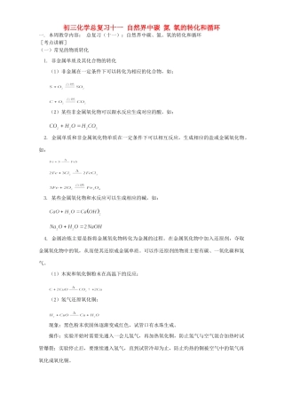 华东师大版初三化学总复习十一 自然界中碳 氮 氧的转化和循环试卷