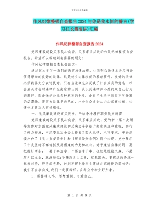 作风纪律整顿自查报告2024与你是我永恒的誓言汇编