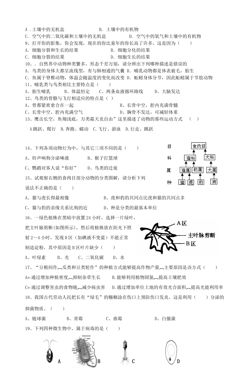 山东省青岛开发区十四中七年级生物上学期期末复习试卷 济南版试卷_第2页