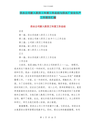供水公司新入职员工年度工作总结与供水厂安全生产工作报告汇编