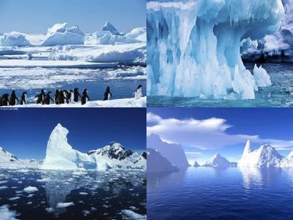 (部编)初中语文人教2011课标版七年级下册伟大的悲剧--课件-(2)_第2页