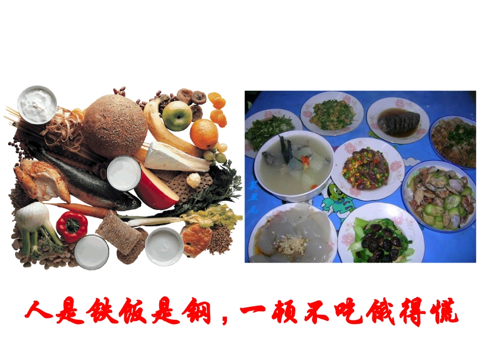 第二单元提供能量与营养的食物_第1页