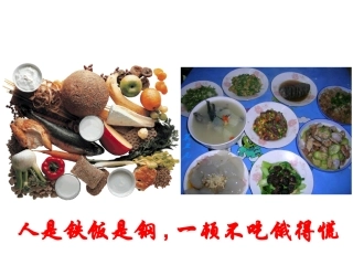 第二单元提供能量与营养的食物